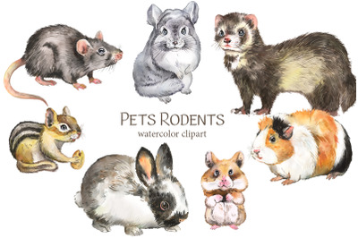 Pets watercolor clipart. Cute animals, rabbit / guinea pig / ferret