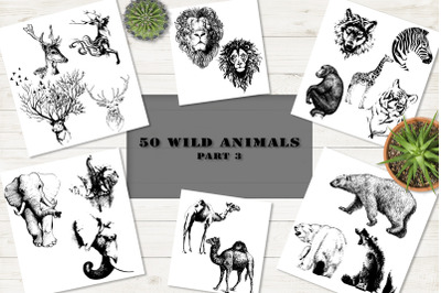 50 wild animals vector part 3