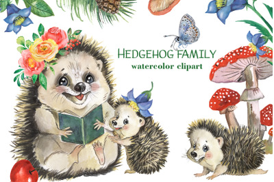 Hedgehog family watercolor clipart, cute little hedgehog clip art