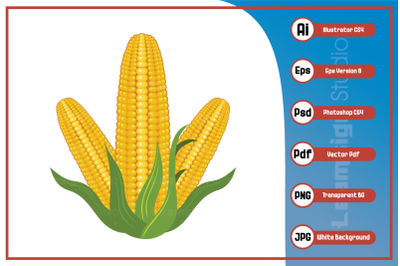 Illustration realistic corn design vector