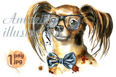 Watercolor portrait of long-haired toy terrier