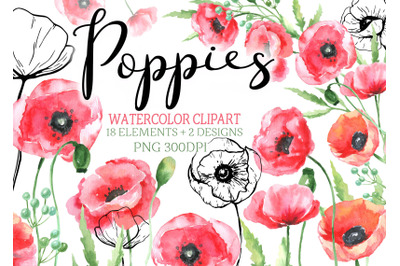 Watercolor poppies clipart red flowers clip art png wedding