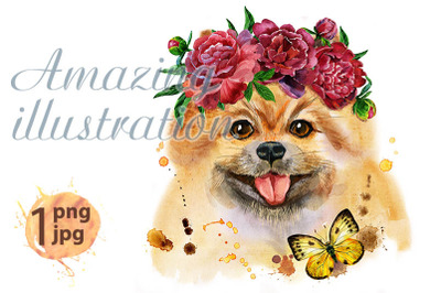 Watercolor portrait of dog pomeranian spitz with flowers