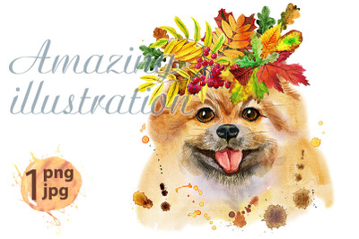 Watercolor portrait of dog pomeranian spitz with wreath of  leaves