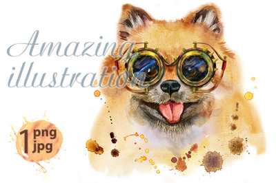 Watercolor portrait of dog pomeranian spitz with steampunk glasses