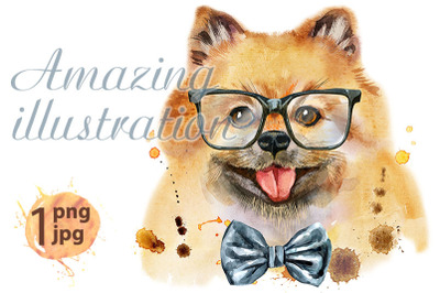 Watercolor portrait of dog pomeranian spitz with bow-tie and glasses