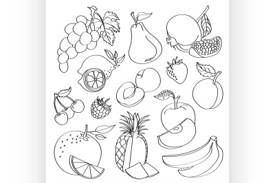 Doodle vector fruit