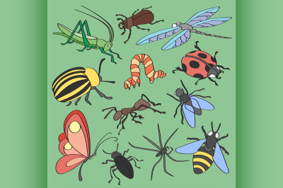 Doodle vector insects