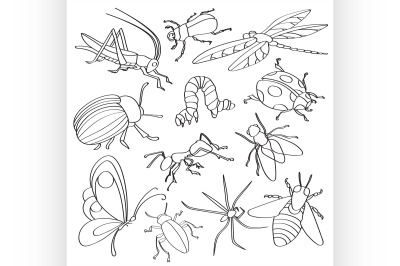 Doodle vector insects