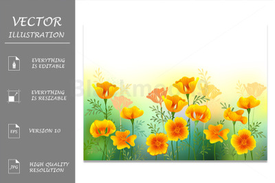 Background with California Poppy