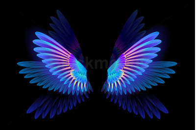 Glowing Hummingbird Wings