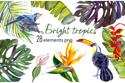 Exotic Flowers Clipart,Tropical leaves, Beach Wedding