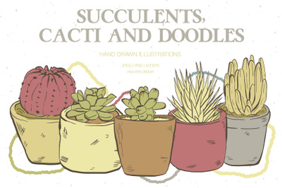 Succulents, Cacti and Doodles Illustrations