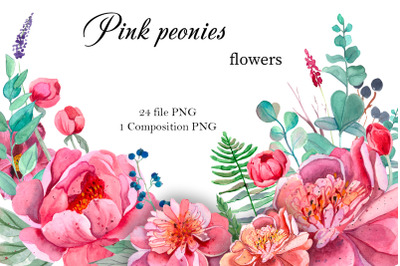 Pink Peonies Flowers Clipart