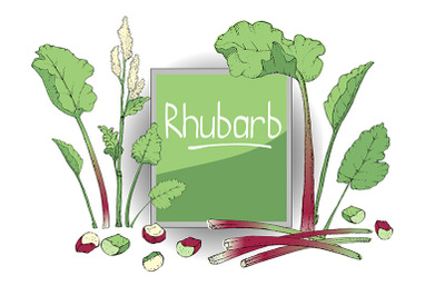 Vector set with rhubarb.
