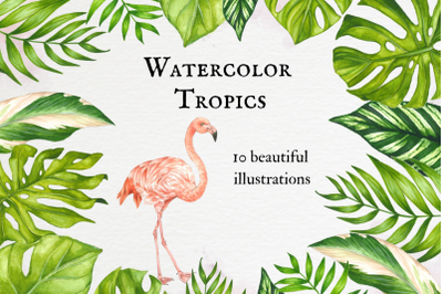 Watercolor Tropical Leaves, Pink Flamingo Design, Tropical Foliage