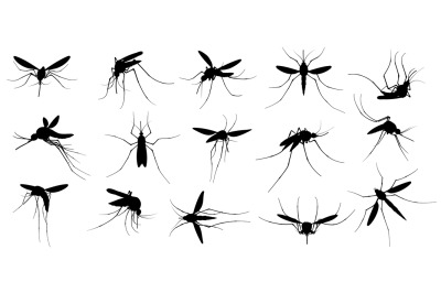 Mosquito silhouette. Flying mosquitoes, swarm insects spreading diseas