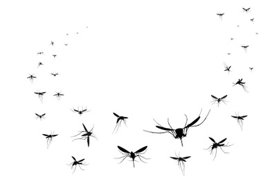 Flying mosquitoes silhouettes group. Flying insects swarm spreading di