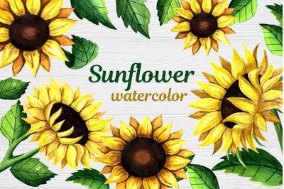 Sunflower Clipart Watercolor