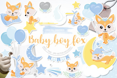 Baby Boy Fox