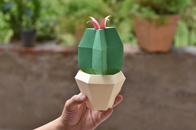 DIY Cactus Plant  - 3d papercraft