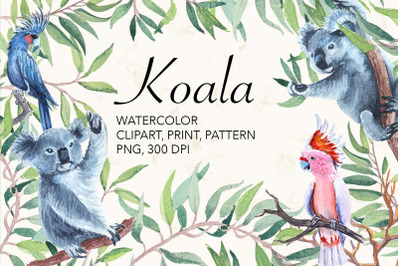 Watercolor koala, parrot, kangaroo.