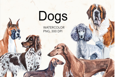 Dogs watercolor collection.