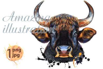 Watercolor illustration of black powerful bull with splashes