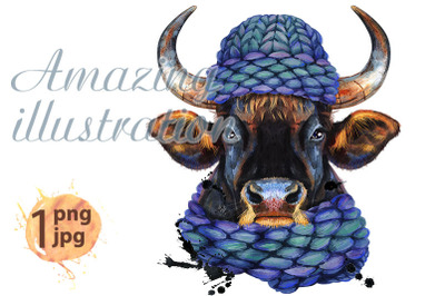 Watercolor illustration of black powerful bull in knitted blue hat