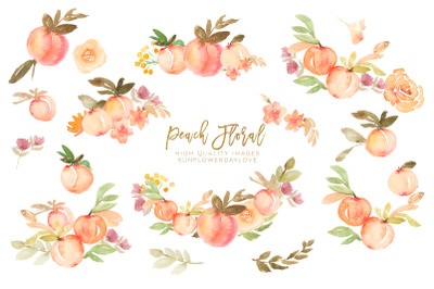 Peaches Watercolour Floral, Peaches Clip Art Hand Painted Illustration