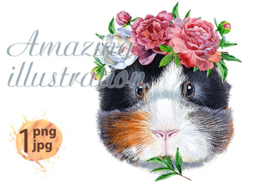 Watercolor portrait of Abyssinian guinea pig with flowers