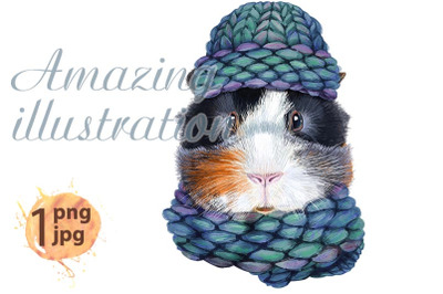 Watercolor portrait of abyssinian guinea pig in knitted emerald hat&amp;nbsp;