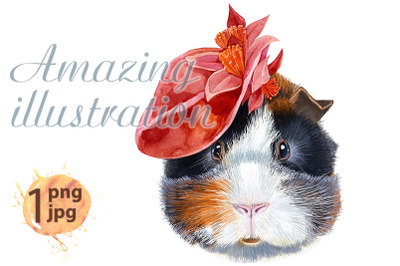 Watercolor portrait of abyssinian guinea pig with red hat