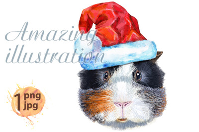 Watercolor portrait of abyssinian guinea pig with Santa hat