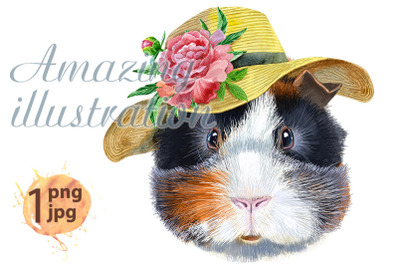 Watercolor portrait of abyssinian guinea pig in summer hat