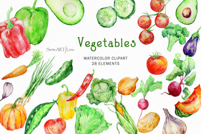Watercolor Vegetables Clipart