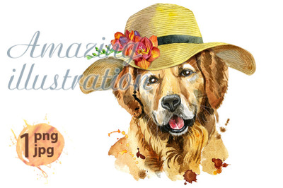 Watercolor portrait of golden retriever with a wide-brimmed summer hat