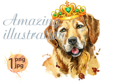 Watercolor portrait of golden retriever dog with crown