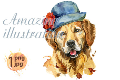 Watercolor portrait of golden retriever in a gray hat with a red flowe