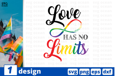 1 LOVE HAS NO LIMITS svg bundle, lgbt quotes cricut svg