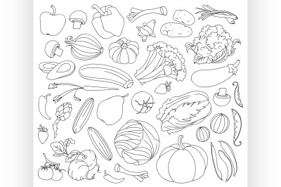 Doodle vector set of vegetables