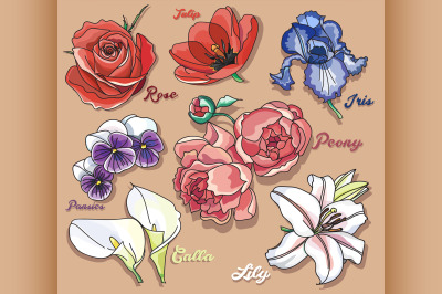 Vector floral set.