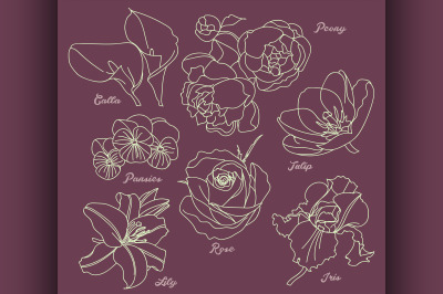 Vector floral set.