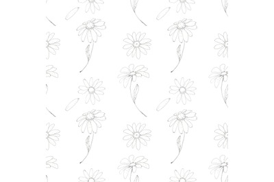 Chamomile, daisy floral seamless pattern
