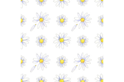 Chamomile, daisy floral seamless pattern hand drawn in watercolor