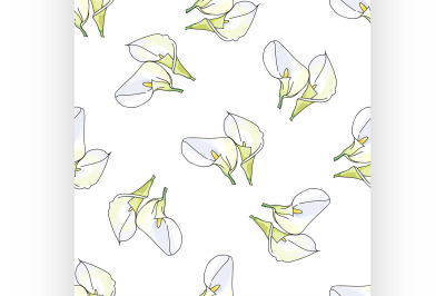 Pattern with hand drawn decorative calla