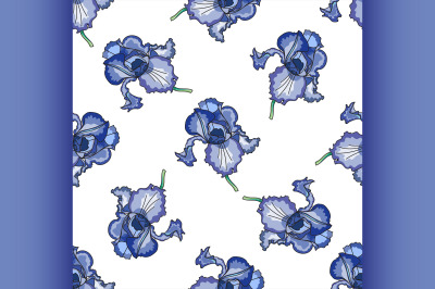 Floral iris pattern