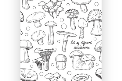 Set of different mushrooms pattern