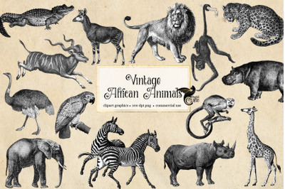 Vintage African Animals Clipart