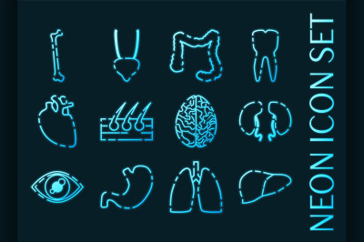 Human organs set icons. Blue glowing neon style.